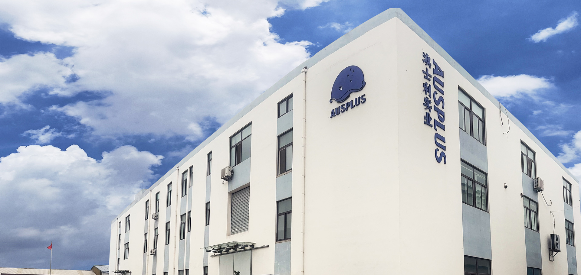 Qingdao Tengbenwei Food Co., Ltd